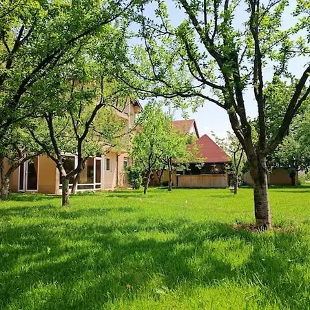 Majida Ilidza فيلة *