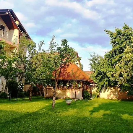 Majida Ilidza سراييفو