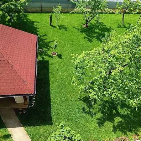 فيلة Majida Ilidza