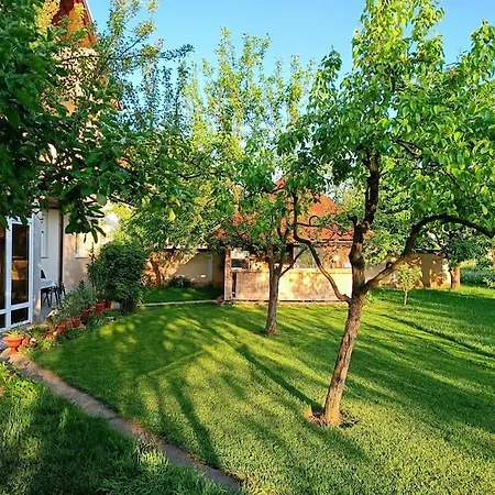 别墅 Majida Ilidza *