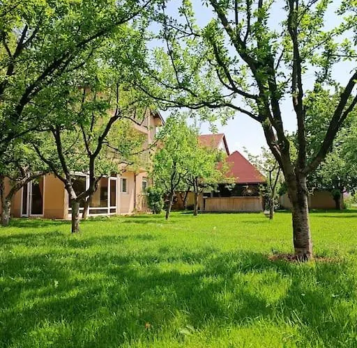 Majida Ilidza 别墅 *