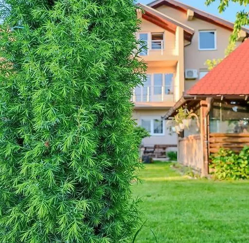 Majida Ilidza * 塞拉耶佛